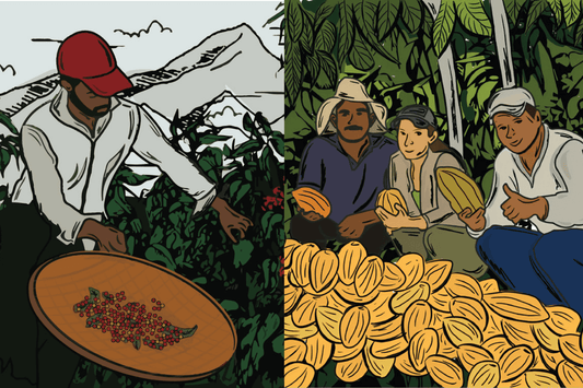 Grão Coffee vs Nescafé – What’s the Difference?