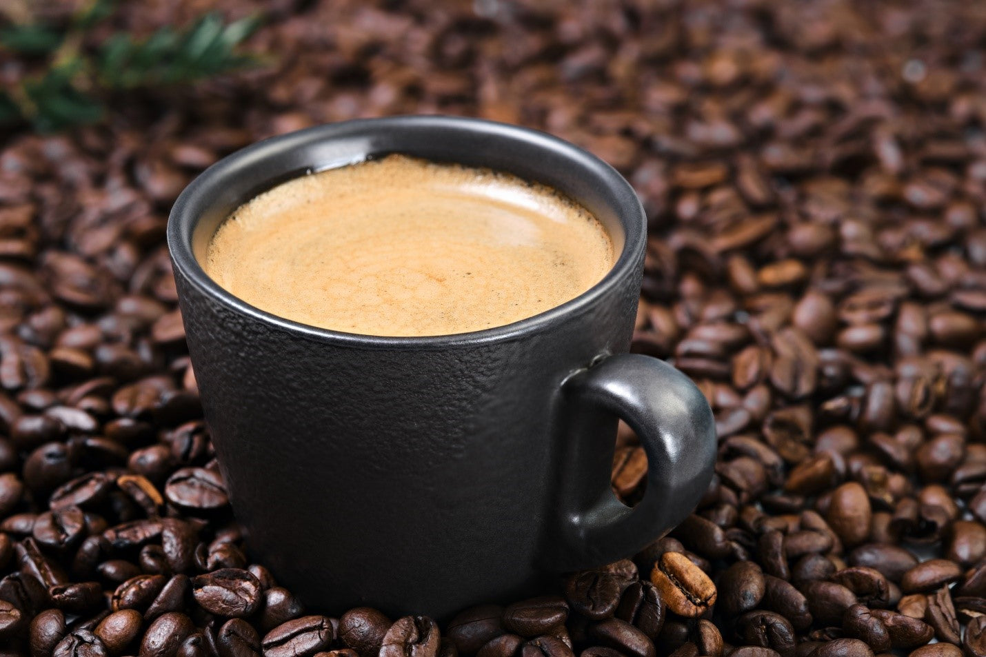 From Aroma to Aftertaste: Breaking Down Coffee’s Sensory Journey