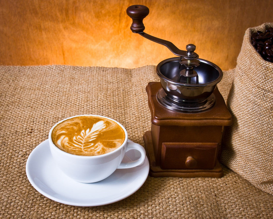 Light, Medium, or Dark: How Roast Development Shapes Flavor