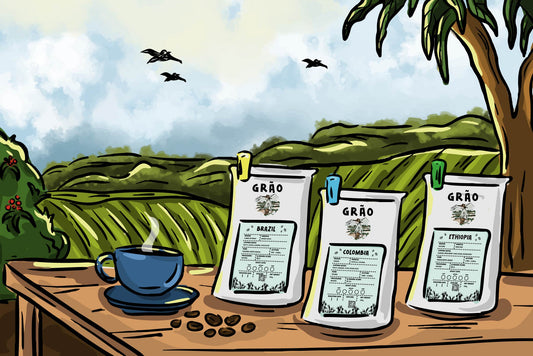 Single Origin Coffee Explained: A Beginner's Guide by Grão Coffee Co.