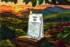 Discovering Brazil: The Rich Flavors of Brazilian Single Origin Coffee
