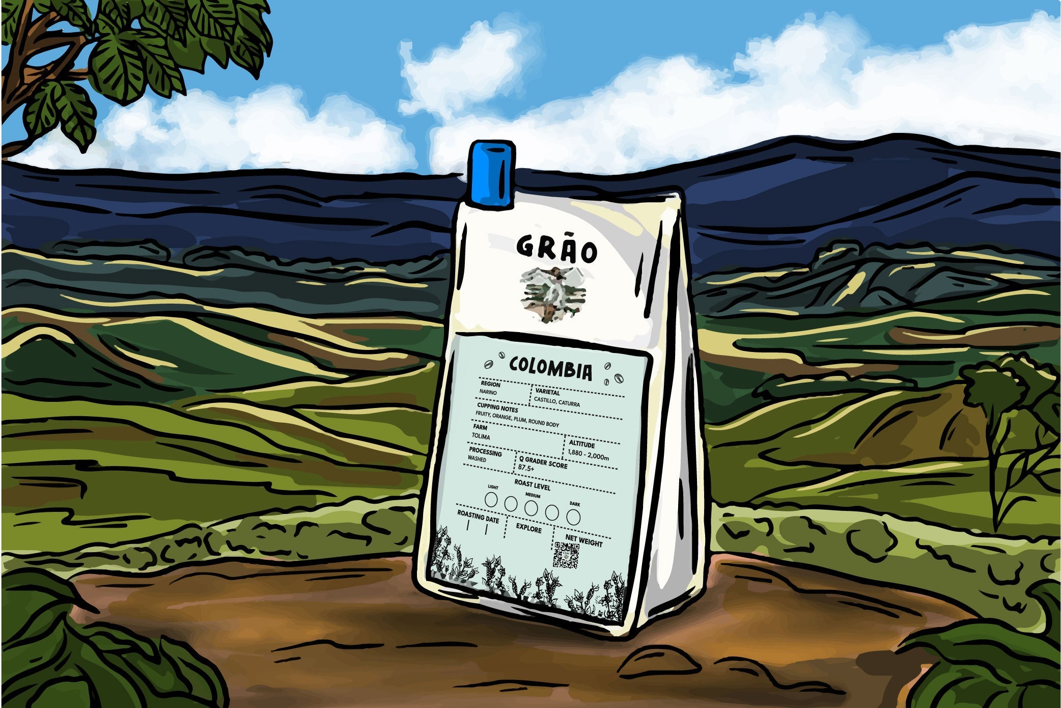 A Taste of Colombia: The Journey of Colombian Single Origin Coffee