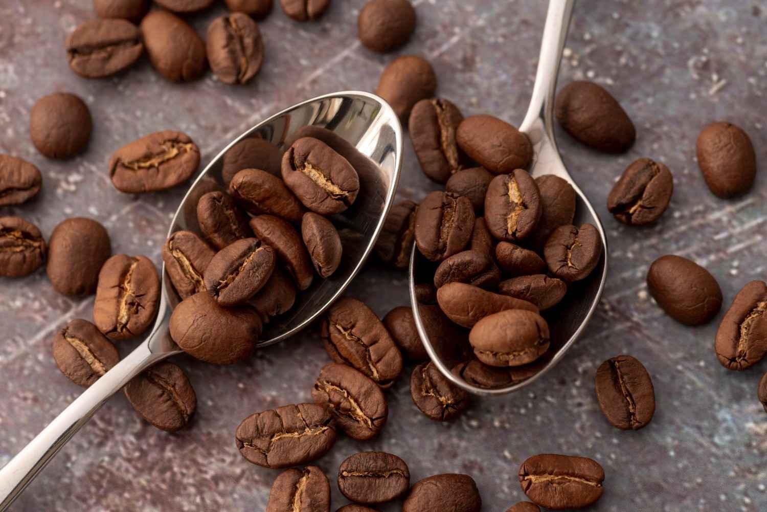 Inside a Coffee Roastery: The Craft Behind Every Roast