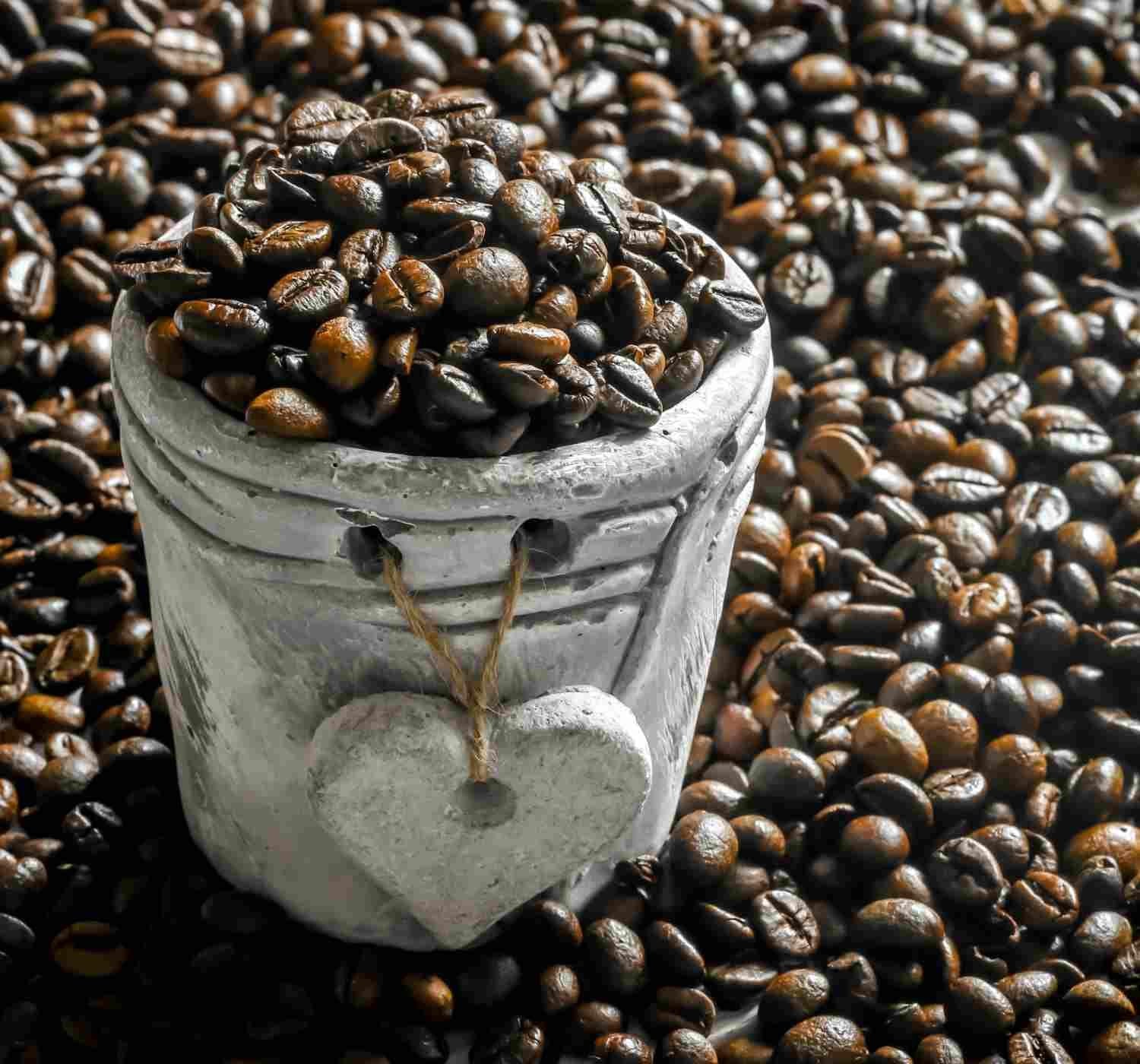 From Farm to Cup: How Grão Coffee Sources and Roasts for Maximum Flavor