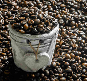From Farm to Cup: How Grão Coffee Sources and Roasts for Maximum Flavor