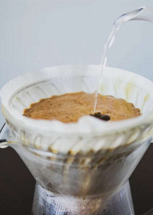 V60 Drip Coffee Filter Grao Coffee Company 